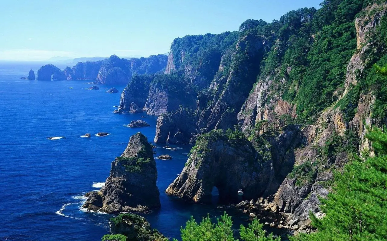 智能全自动高效